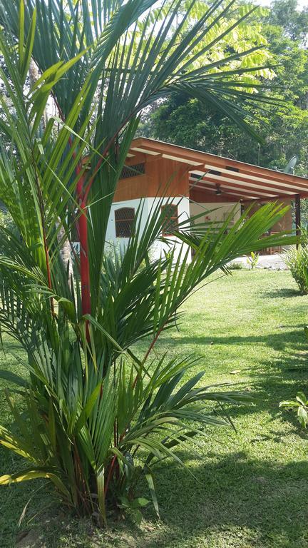 Los Delfines Lodge Puerto Viejo de Talamanca 객실 사진