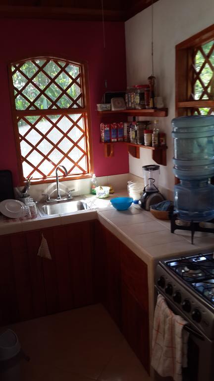 Los Delfines Lodge Puerto Viejo de Talamanca 객실 사진