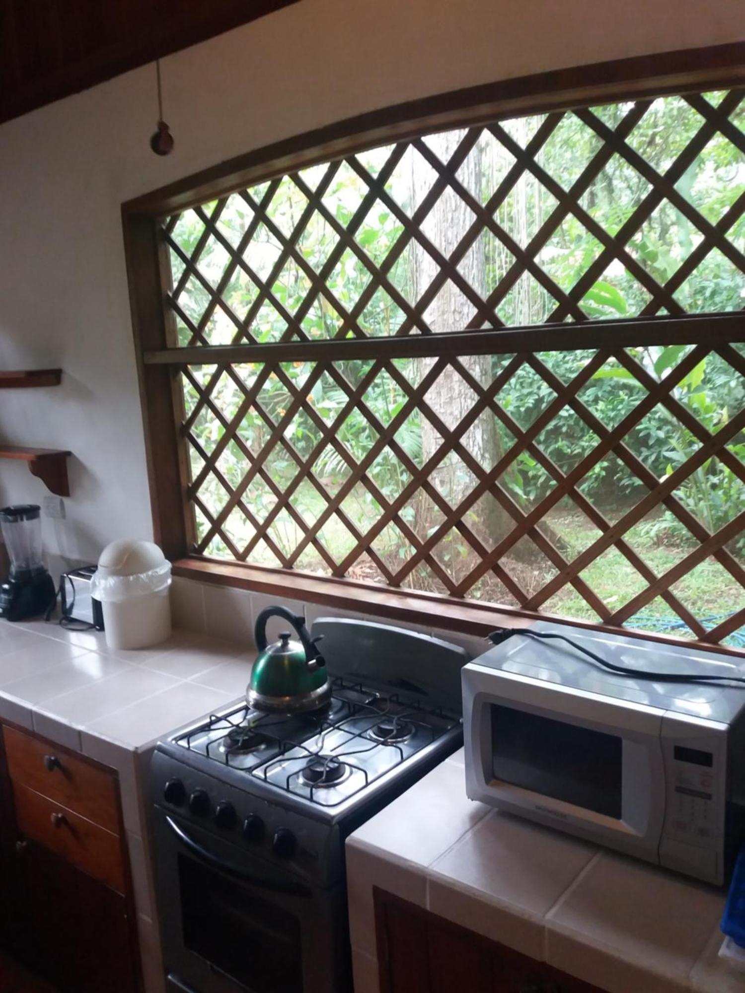 Los Delfines Lodge Puerto Viejo de Talamanca 외부 사진