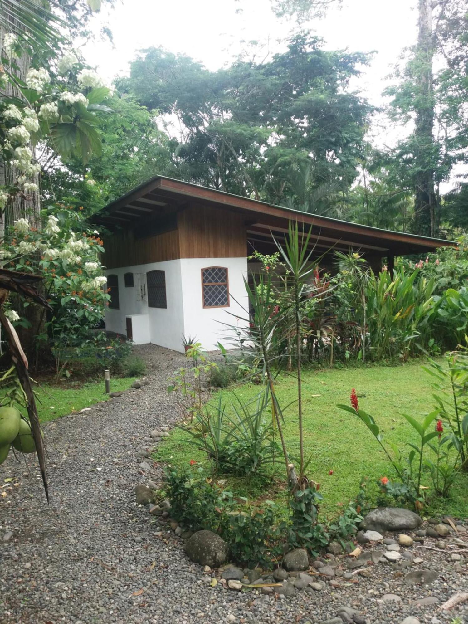Los Delfines Lodge Puerto Viejo de Talamanca 외부 사진
