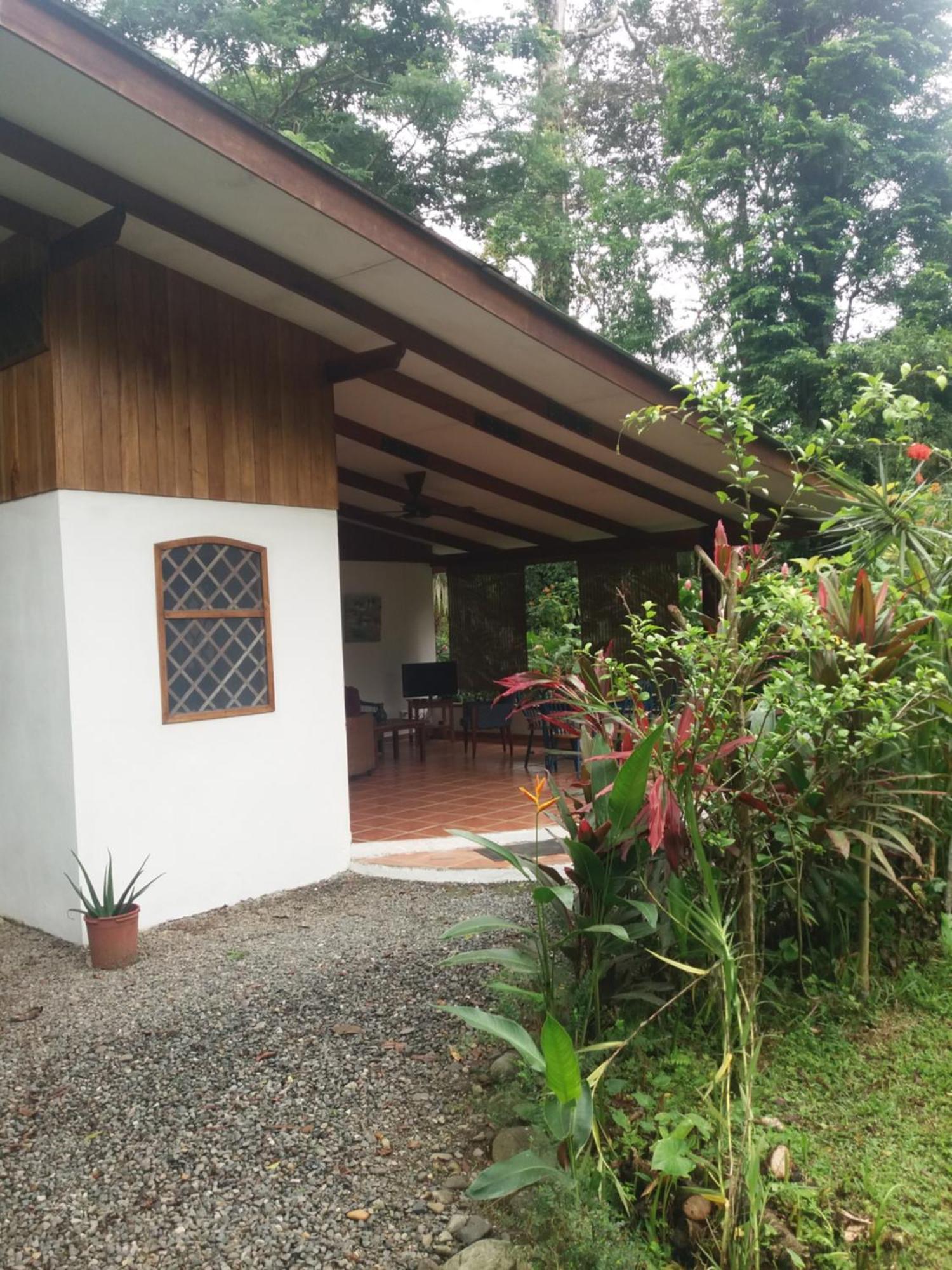 Los Delfines Lodge Puerto Viejo de Talamanca 외부 사진
